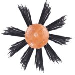 Rodeo Professional 1418