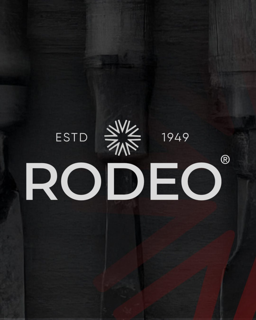 rodeo_poster_v2-04